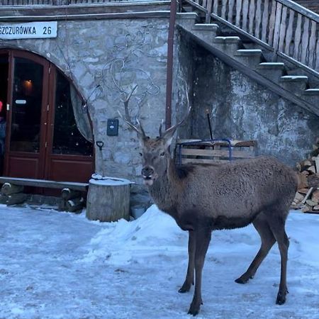 Schody Do Nieba Lejlighed Zakopane Eksteriør billede