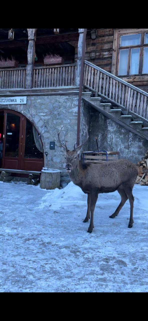 Schody Do Nieba Lejlighed Zakopane Eksteriør billede